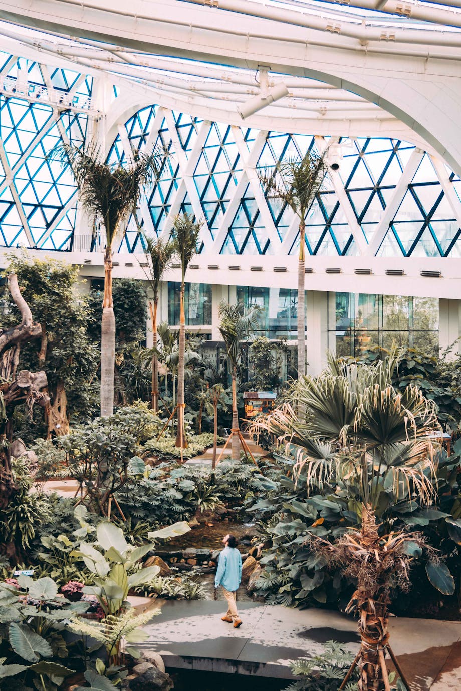 pexels-photo-4652274-3